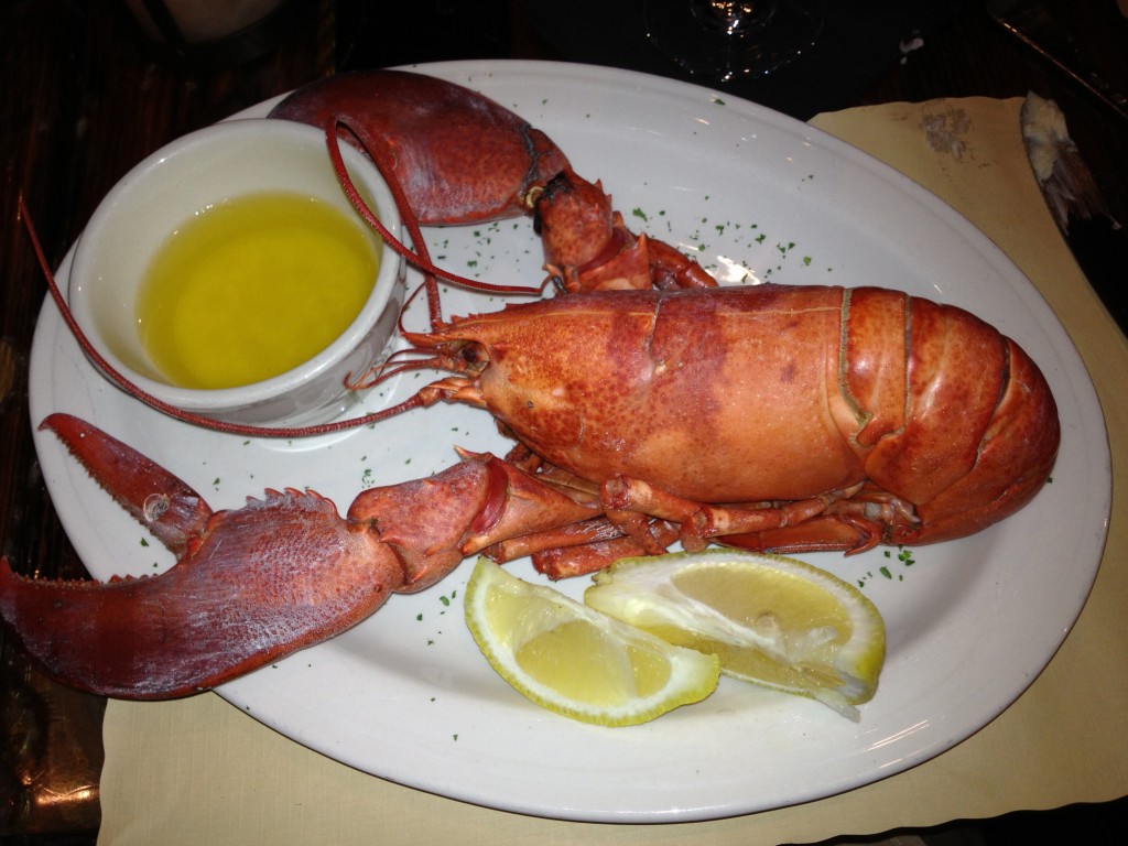 Maine lobster