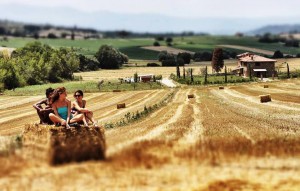 organic farm in umbria